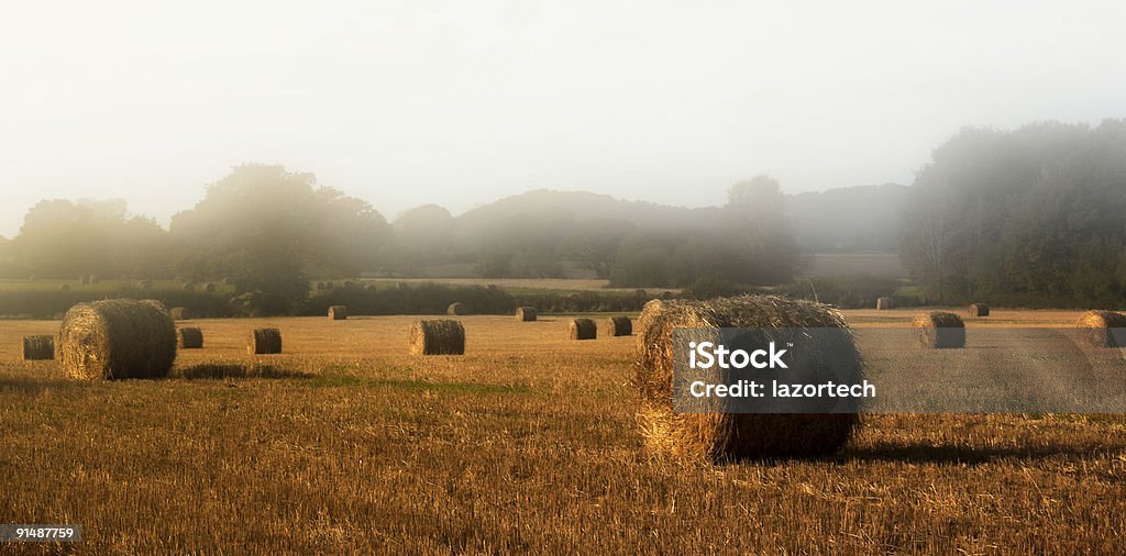 Paglia bales - Foto stock royalty-free di Agricoltura