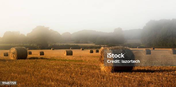 Fardos De Palha - Fotografias de stock e mais imagens de Agricultura - Agricultura, Ao Ar Livre, Arame