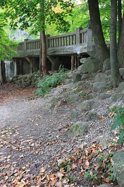 Photo of bridge in the fall forest