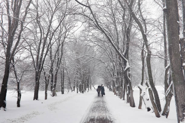 istock Snow-covered winter park and benches. Park and pier for feeding 914882432