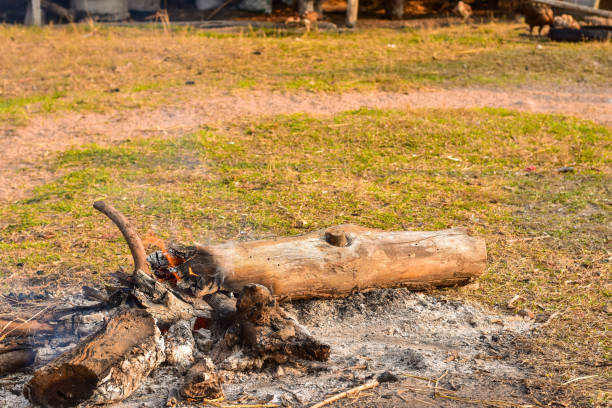 istock Fire on the dry ground in the countryside 914888216