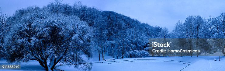 istock mixed forest in the Kolomenskoye estate after snowfall, Moscow, Russia 914888240