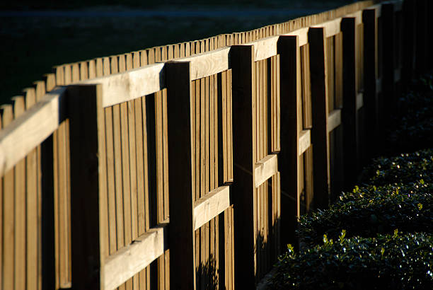 Serene view of a garden gate.