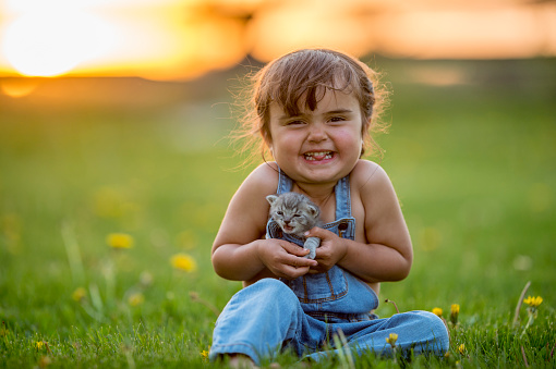 A young girl is sitting outside in a field on a summer day. She is surrounded by dandelions. The girl is smiling at the camera while cuddling a cute kitten.