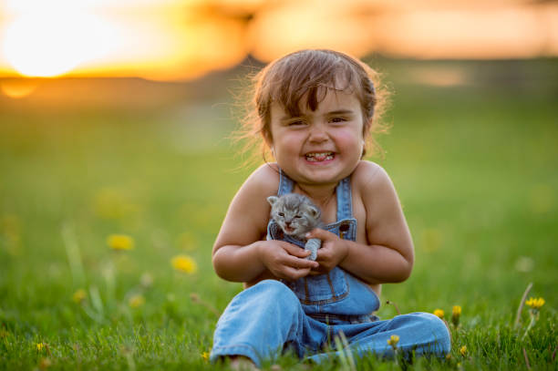 happy girl with kitten - cute kitten animal young animal imagens e fotografias de stock