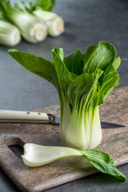 Fresh raw baby Bok choy or pak choi Chinese cabbage Fresh raw green baby Bok choy or pak choi Chinese cabbage rosa chinensis stock pictures, royalty-free photos & images