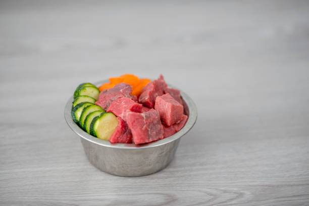 A steel bowl of pet food is sitting on the kitchen floor. The bowl contains meat, cucumbers and carrots.