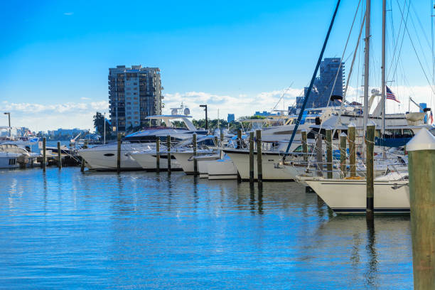 istock Line of White Yachts in Miami Marina 914901532