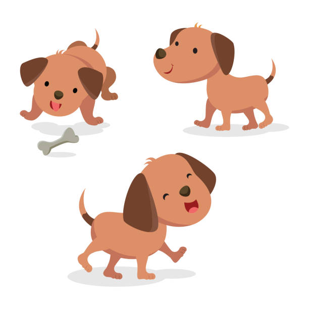 Set Of Dog In Different Pose Stock Illustration - Download Image Now -  Animal, Animal Body Part, Beauty - iStock