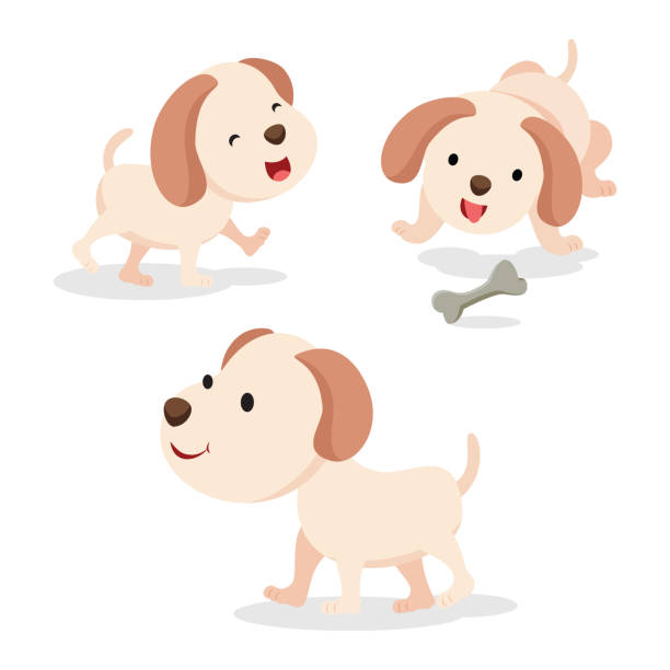3dogs Vector 70+ Walking Three Dogs Illustrations, Royalty-Free Vector Graphics ...