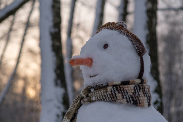 istock the funny snowman in the snowy forest 914905010