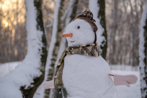 istock the funny snowman in the snowy forest 914905022