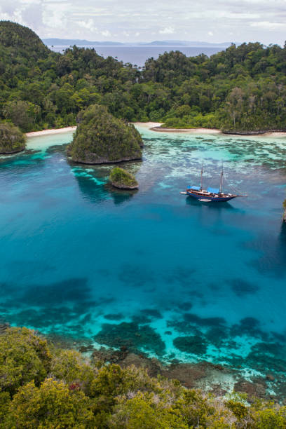Gorgeous Tropical Lagoon in Raja Ampat Rugged limestone islands surround a beautiful, tropical lagoon in Raja Ampat, Indonesia. This remote region is called the "heart of the Coral Triangle" due to its extraordinary marine biodiversity. marine reserve photos stock pictures, royalty-free photos & images