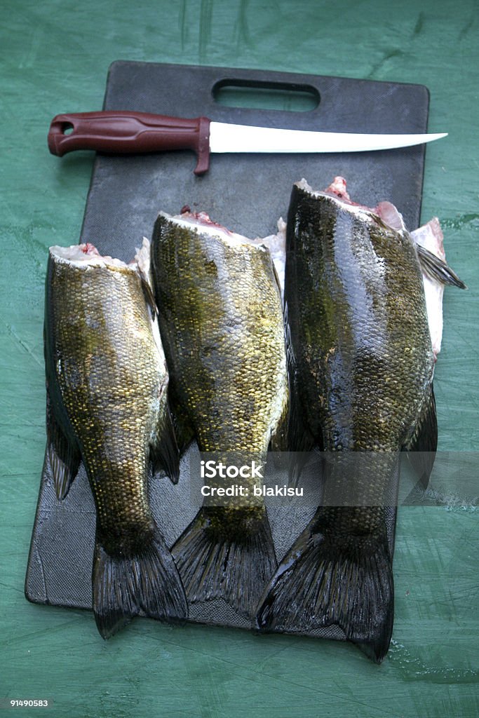 Der Fang des Tages - Lizenzfrei Filetiermesser Stock-Foto