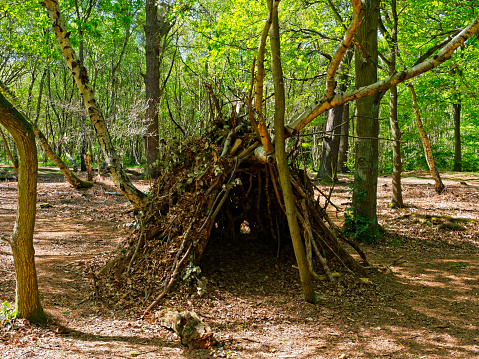 In a clearing in Sherwood Forest is a childs den, made of branches, twigs and fallen leaves.