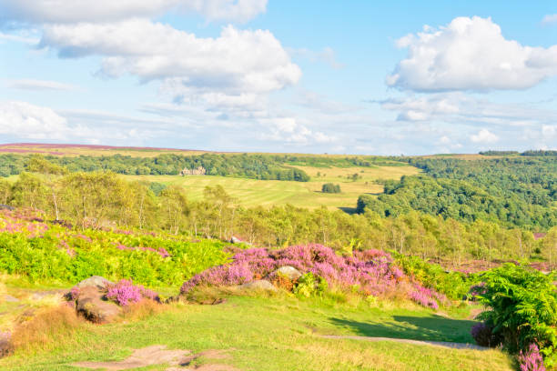istock Up in the Derbyshire hiils 914909188
