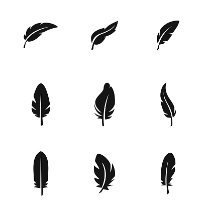 Feather vector icons. Simple illustration set of 9 Feather elements, editable icons, can be used in symbol, UI and web design