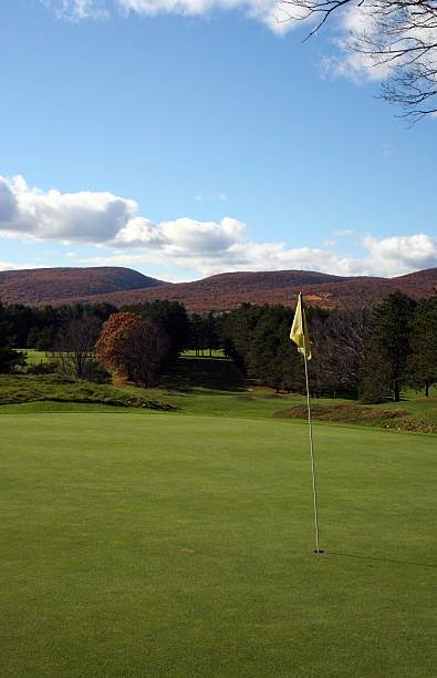istock Golf green during autumn in the mountains 91491377