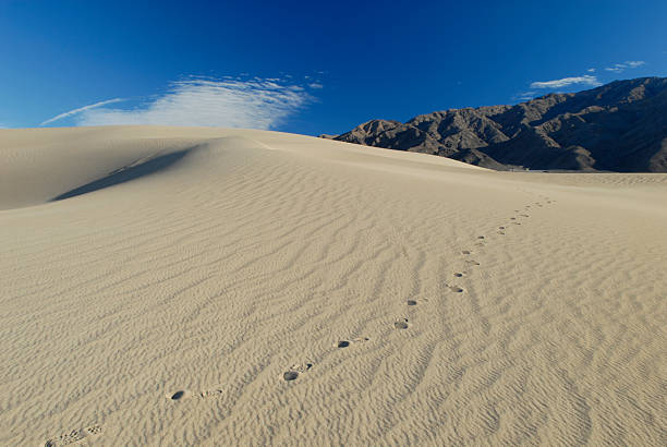 istock Lone foot steps in the desert sand 91491435