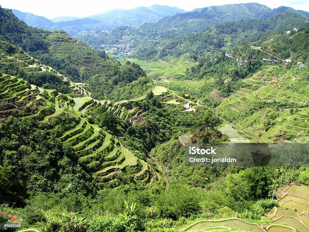 Banaue 棚田 - イフガオのロイヤリティフリーストックフォト