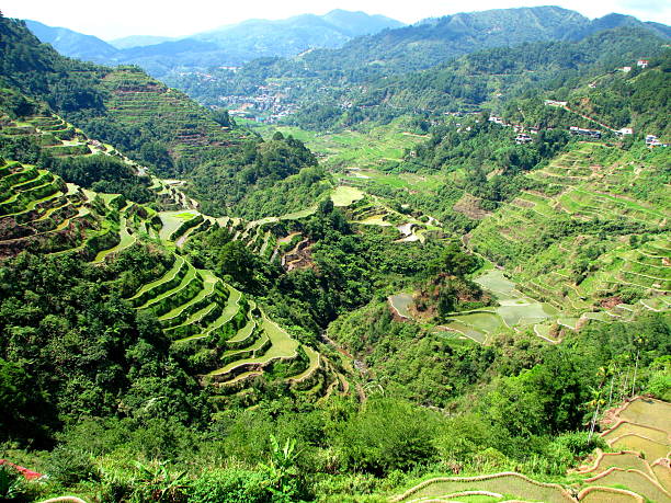 Banaue Arroz Terraces - fotografia de stock