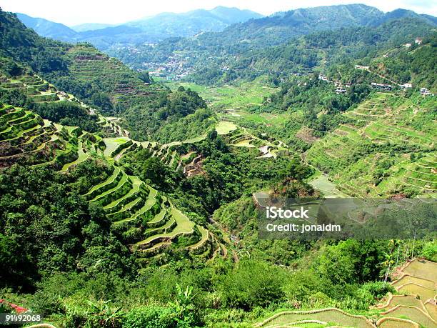 Banaue Arroz Terraces - Fotografias de stock e mais imagens de Ao Ar Livre - Ao Ar Livre, Arroz - Cereal, Arrozal