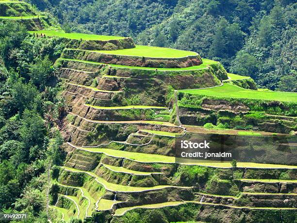 Banaue Arroz Terraces - Fotografias de stock e mais imagens de Banaue - Banaue, Socalco de arroz, Arrozal