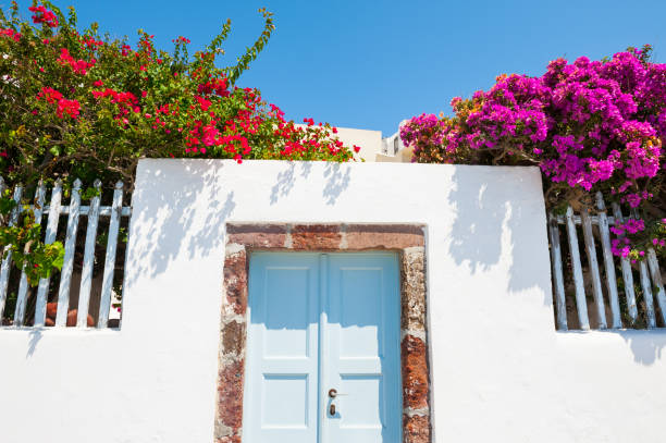 istock White architecture, blue door and pink flowers 914920814