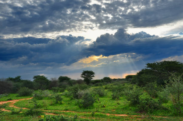 istock Waterberg scenery, Namibia, Africa 914920842
