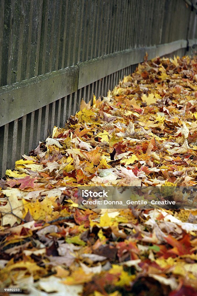 Feuilles d'automne clôture Perspective-Vertical - Photo de Activité de loisirs libre de droits