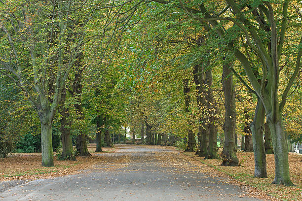 istock Autumn in the park 91492381