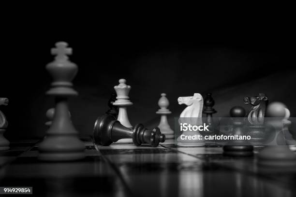 Chess Photographed On A Chessboard Stock Photo - Download Image Now - Chess, Horse, Bishop - Chess Piece