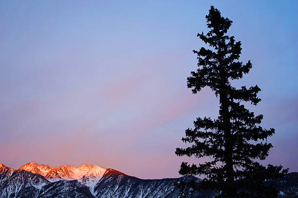 인공눈 산 풍경 해질녘까지 스카이 및 나무 실루엣 - copy space alpenglow winter mountain range 뉴스 사진 이미지