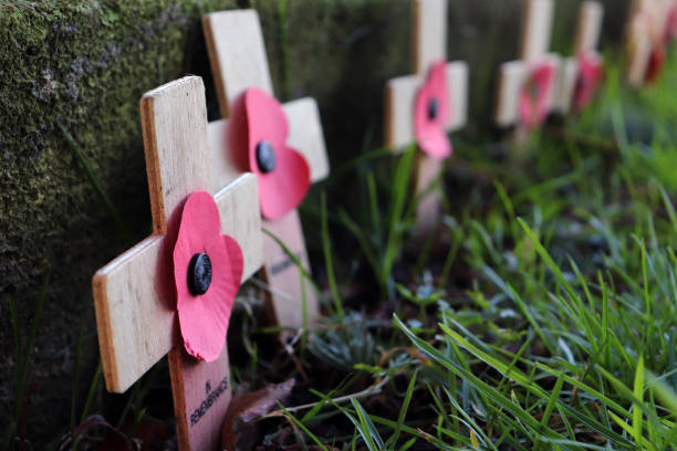 día de la memoria - fila de cruces de madera con amapolas - flanders war grave war memorial fotografías e imágenes de stock