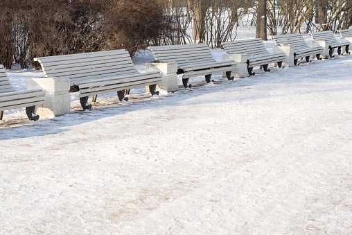 winter landscape of the park with empty benches for rest located in one row one after another