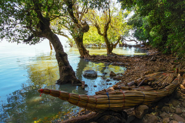 tradycyjna etiopska łódź papirusowa na wybrzeżu jeziora tana, największego jeziora w etiopii. region amhara, północno-zachodnia etiopia highlands - ethiopian highlands zdjęcia i obrazy z banku zdjęć
