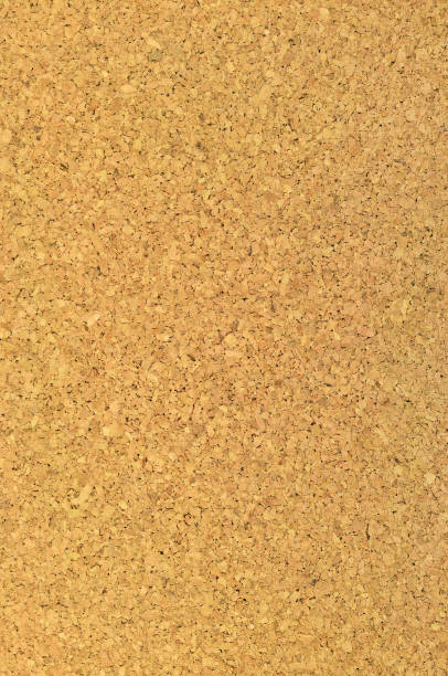 istock Cork Board Texture Background, Bright Vertical Textured Corkboard Macro Closeup, Large Detailed Decorative Beige Brown Natural Pattern, Blank Empty Copy Space 914960332