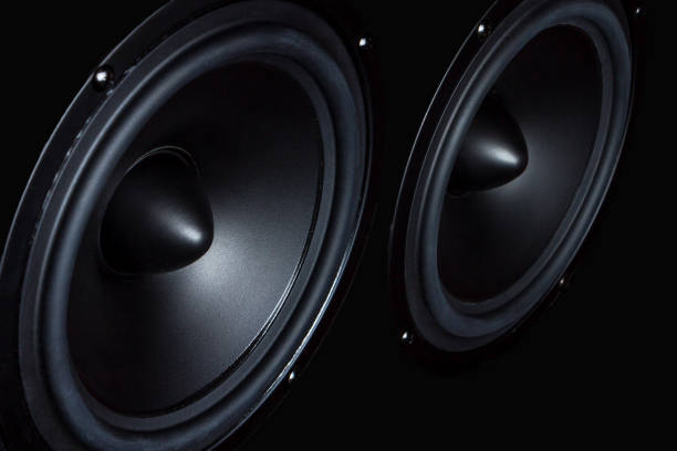 istock Dark speaker, loudspeaker, part of the music column 914961144