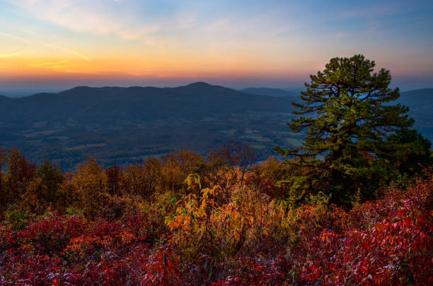 istock Autumn Sunrise Over the Blue Ridge Mountains 914962500