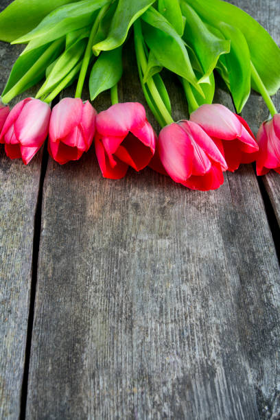 istock pink tulips on wooden surface 914962686