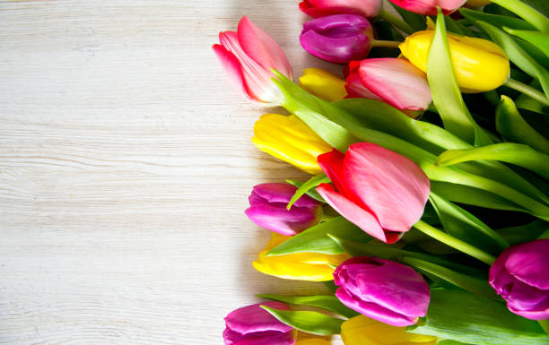 istock colorful tulips on wooden surface 914965218