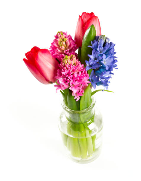 istock beautiful bouquet isolated on white 914965230