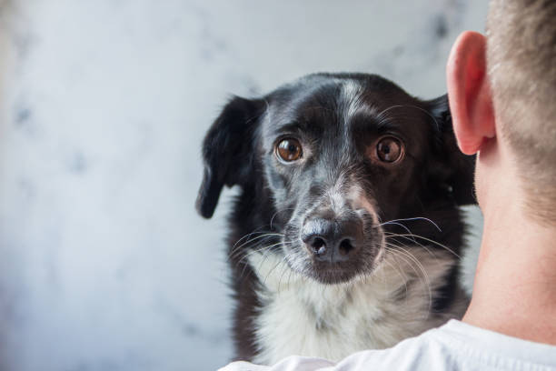 istock Dog looks out from behind the man's shoulder 914969070
