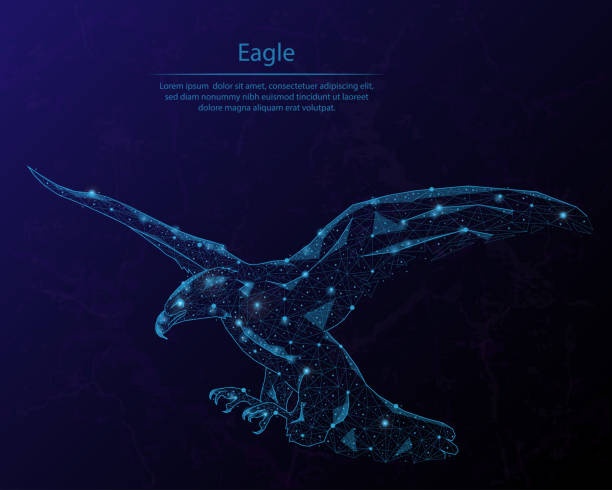 Abstract image of a eagle in the form of the constellation. Consisting of points and lines. Abstract image of a eagle in the form of the constellation. Consisting of points and lines. spotted eagle stock illustrations