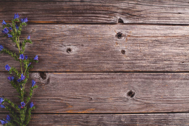 istock Field flowers on the side of rustic, wooden background 914973164