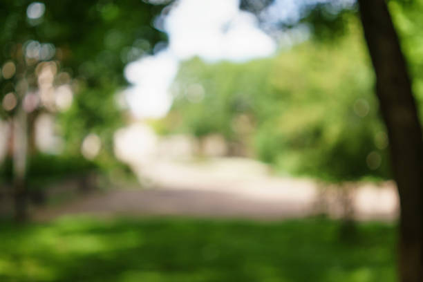 city park blurred background for your project, real optical blur in high resolution