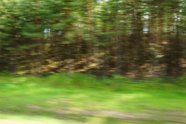 istock motion blur background of green countryside 914973842