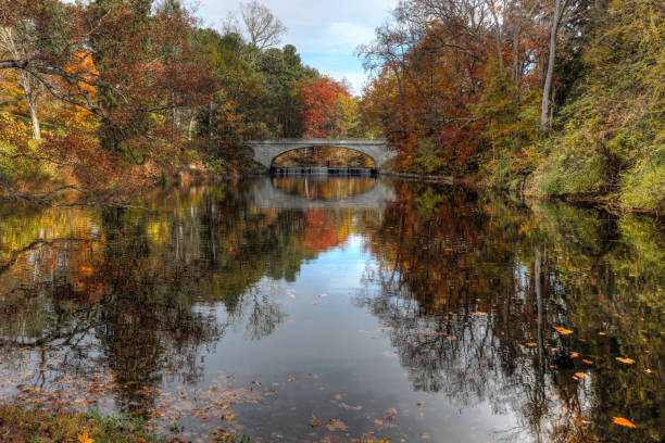 Autumn Bridge Autumn foliage colors reflect in a pond at Vanderbilt Estate. hyde park flowers stock pictures, royalty-free photos & images