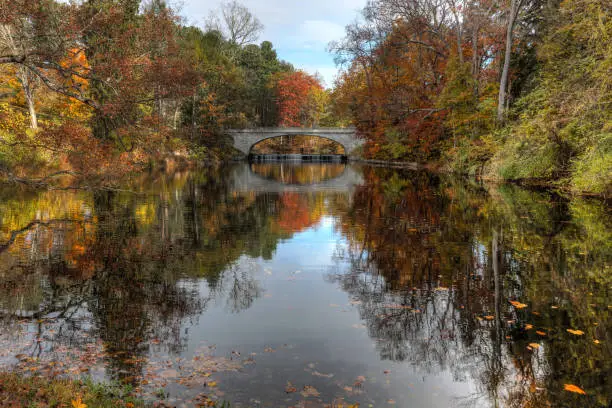 Autumn foliage colors reflect in a pond at Vanderbilt Estate.