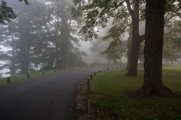 A fog covered road into Vanderbilt Estate.